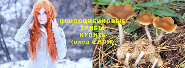 эйфоретик Навашино