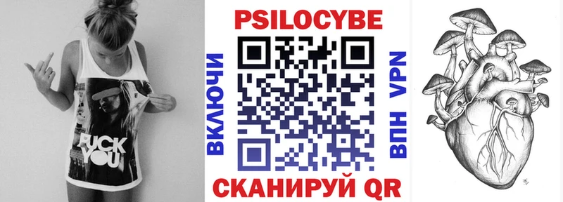 Галлюциногенные грибы Magic Shrooms как найти закладки Приозерск